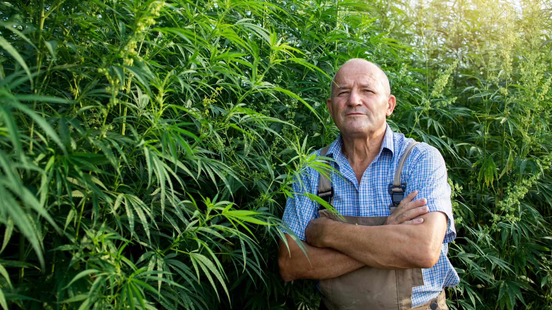 Analítica Agrícola